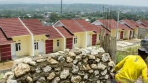 CjkinzN007023_20250405_CBMFN0A002